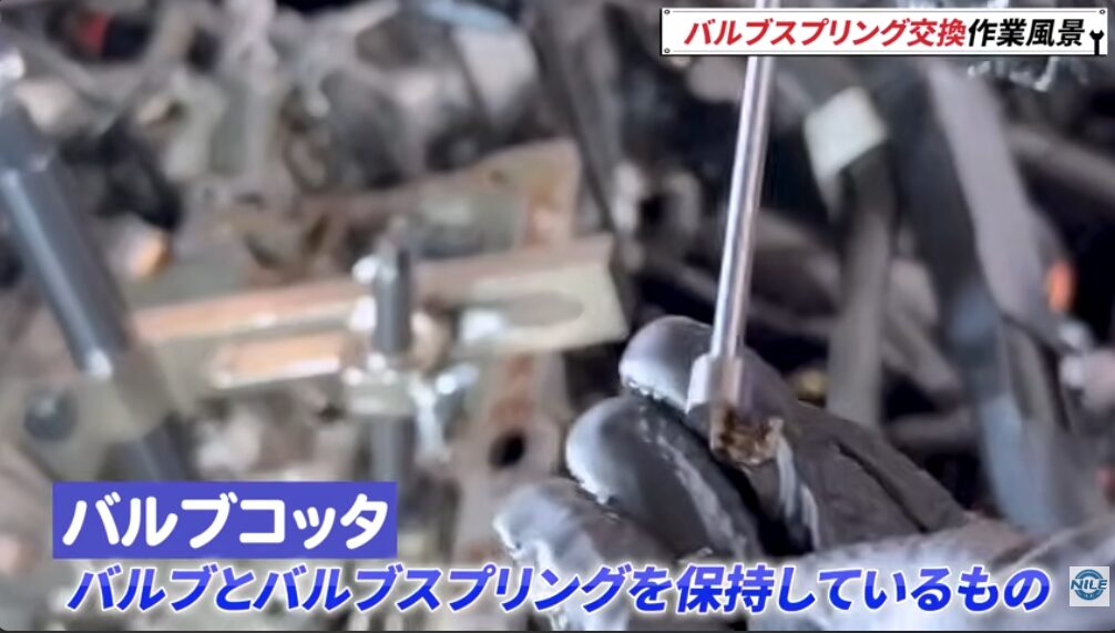 バルブコッタとは？