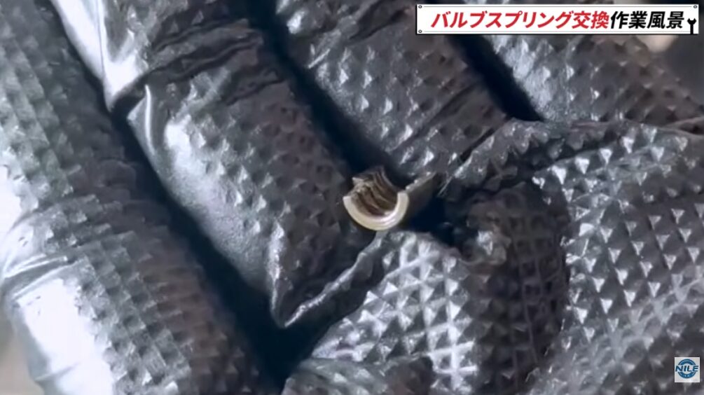 バルブコッタとは？