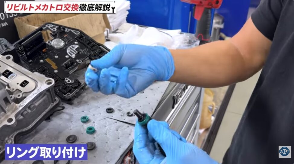 TCU移植