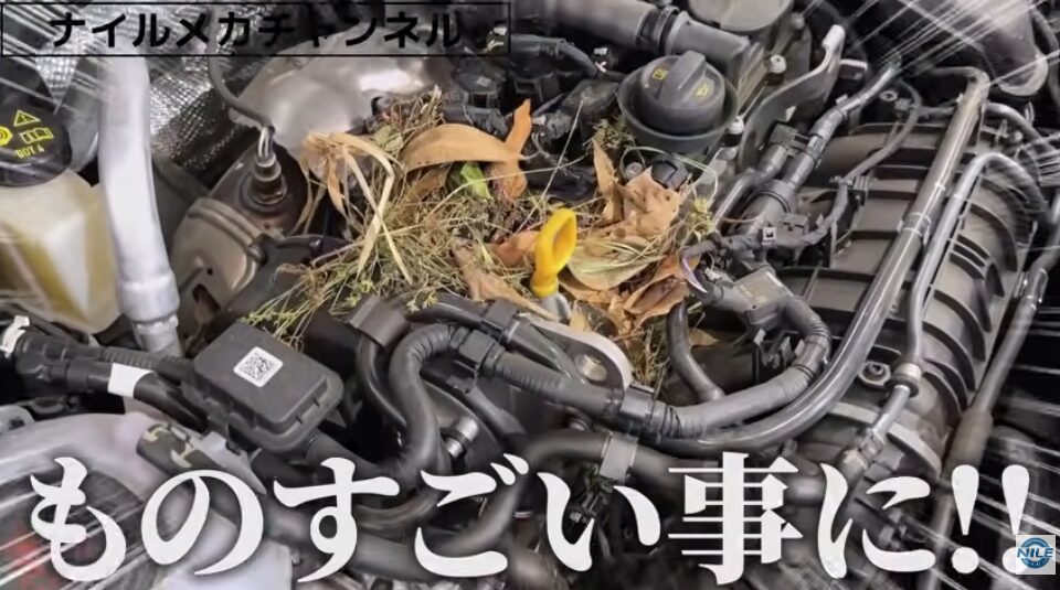 【警告灯の原因はまさかの小動物!?】VW T-Rocの断線トラブルを実車診断|エンジンルームに巣が…