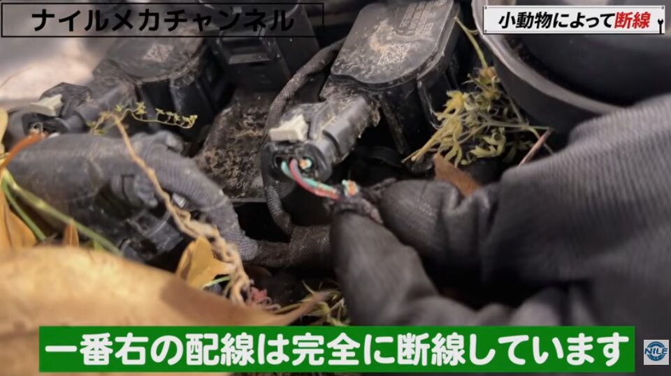 【警告灯の原因はまさかの小動物!?】VW T-Rocの断線トラブルを実車診断|エンジンルームに巣が…