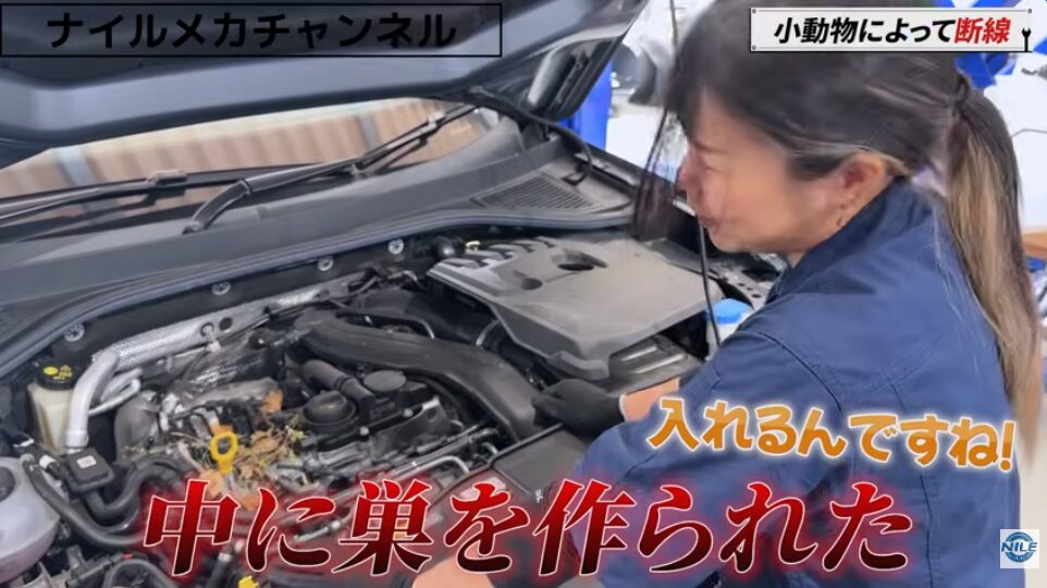 【警告灯の原因はまさかの小動物!?】VW T-Rocの断線トラブルを実車診断|エンジンルームに巣が…