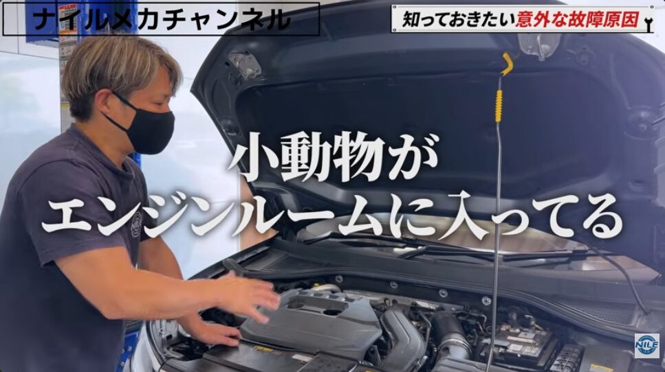 【警告灯の原因はまさかの小動物!?】VW T-Rocの断線トラブルを実車診断|エンジンルームに巣が…